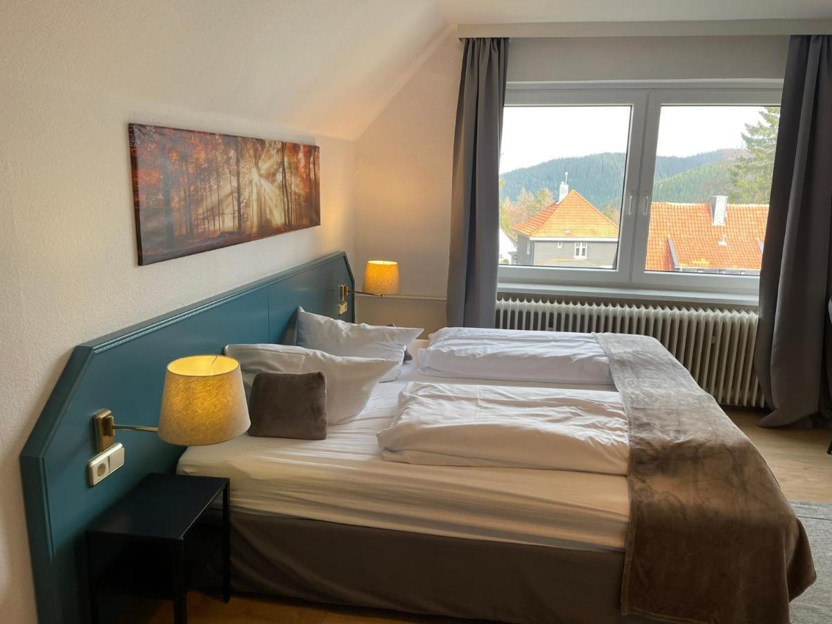 Harz 3* Goslar